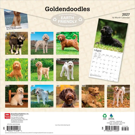 Browntrout Goldendoodle Kalender 2027