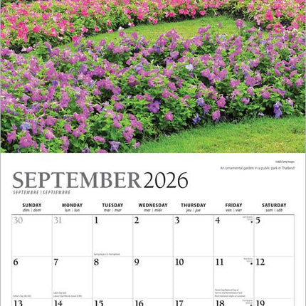 Browntrout Gorgeous Gardens Kalender 2026