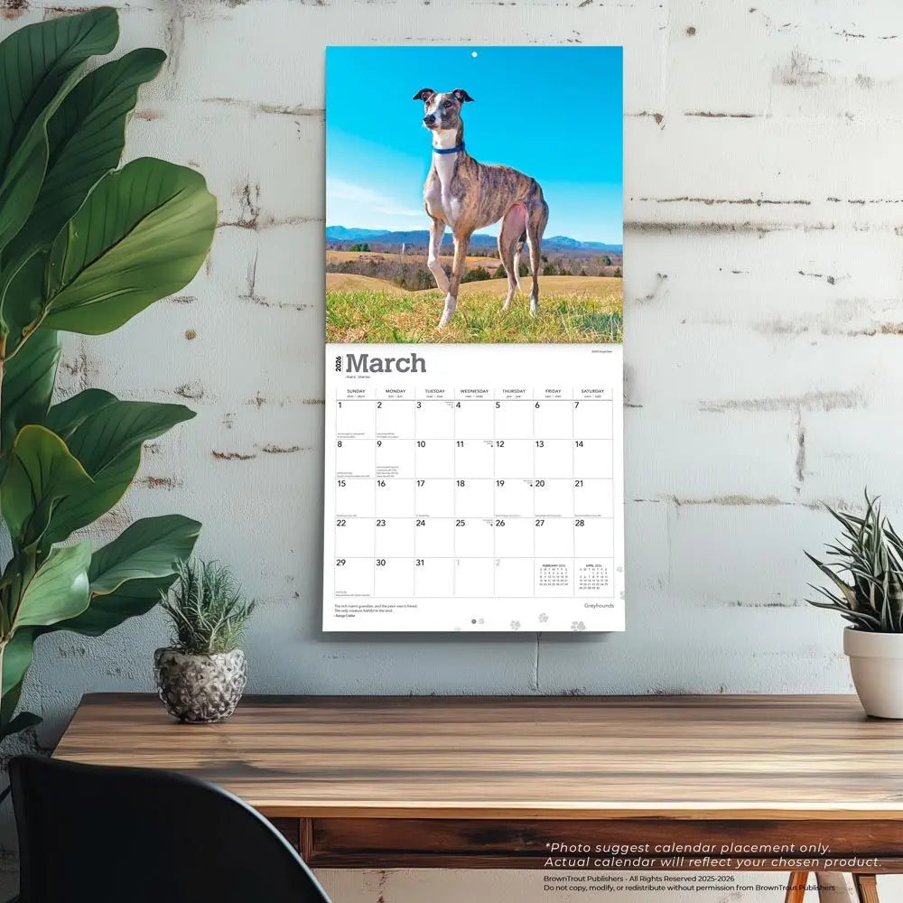 Greyhound Kalender 2026 Kopen? Eenvoudig en snel besteld Greyhound Kalender 2026 Kopen? Eenvoudig en snel besteld