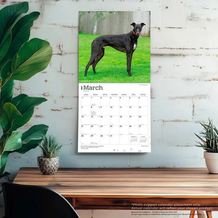 Browntrout Greyhound Kalender 2027