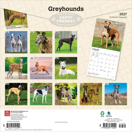 Browntrout Greyhound Kalender 2027