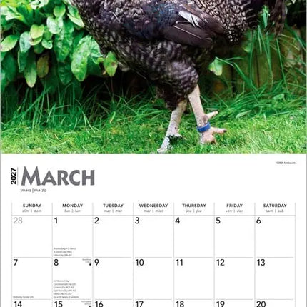 Browntrout Hanen Kalender 2027