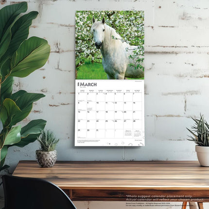 Browntrout Horse Lovers Kalender 2026