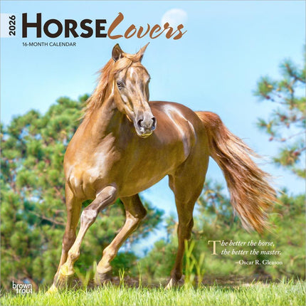 Browntrout Horse Lovers Kalender 2026