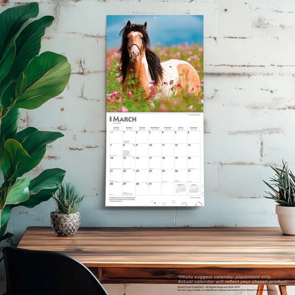 Browntrout Horse Lovers Kalender 2027
