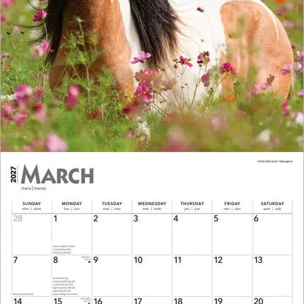 Browntrout Horse Lovers Kalender 2027