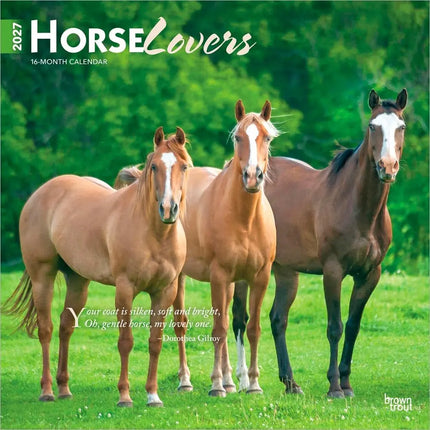 Browntrout Horse Lovers Kalender 2027