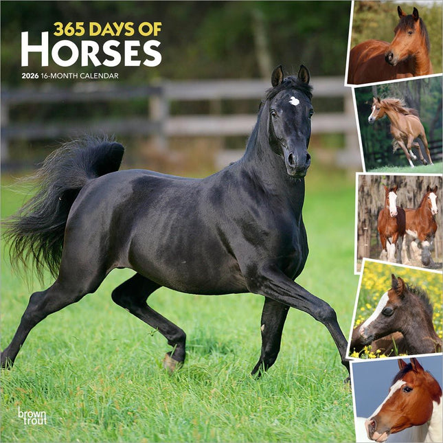 Browntrout I Love Horses 366 Days Kalender 2026