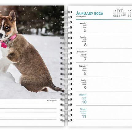 Browntrout I Love Puppies Agenda 2027