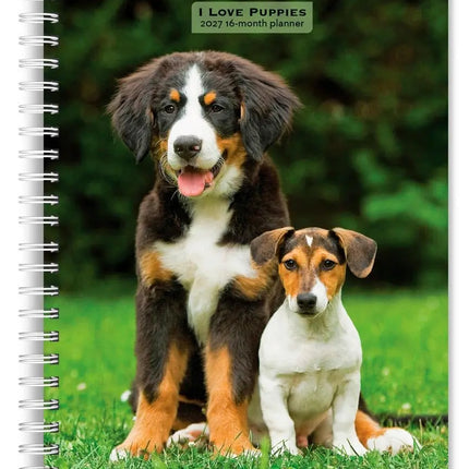Browntrout I Love Puppies Agenda 2027