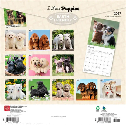 Browntrout I Love Puppies Kalender 2027