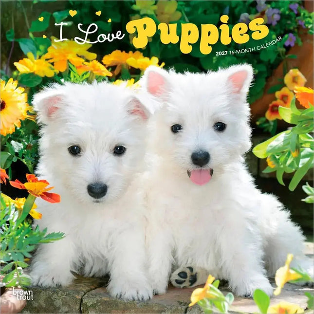Browntrout I Love Puppies Kalender 2027