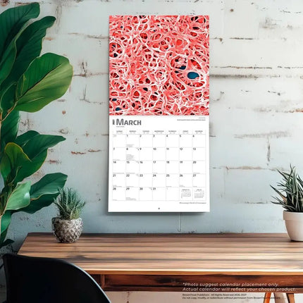 Browntrout Innerspace Kalender 2027