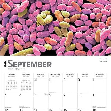 Browntrout Innerspace Kalender 2027