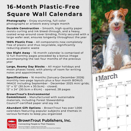 Browntrout Jack Russell Terrier Kalender 2026