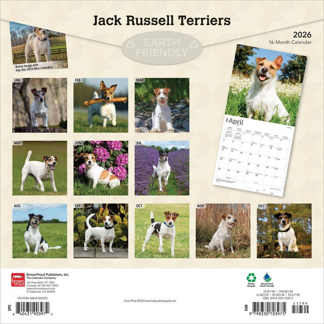 Browntrout Jack Russell Terrier Kalender 2026