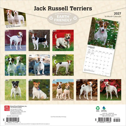Browntrout Jack Russell Terrier Kalender 2027