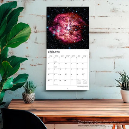 Browntrout James Webb Space Telescope Kalender 2027