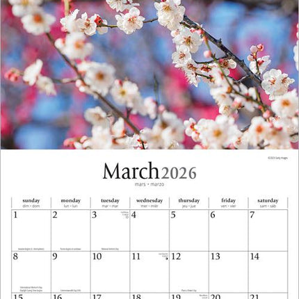 Browntrout Japanese Gardens Kalender 2026