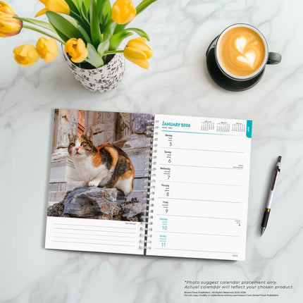 Browntrout Katten Agenda 2026