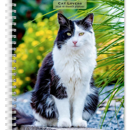 Browntrout Katten Agenda 2026