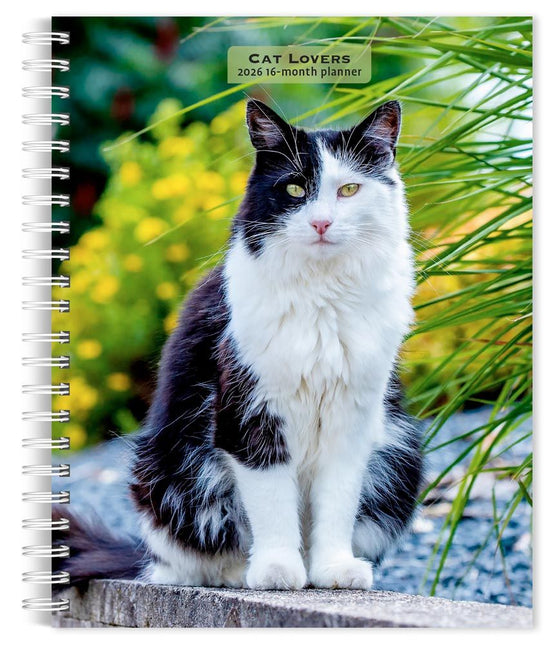 Browntrout Katten Agenda 2026