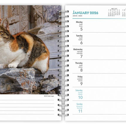 Browntrout Katten Agenda 2026