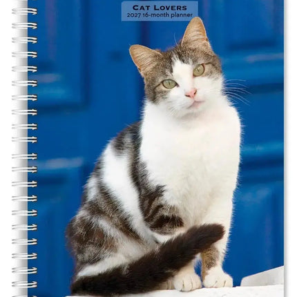 Browntrout Katten Agenda 2027