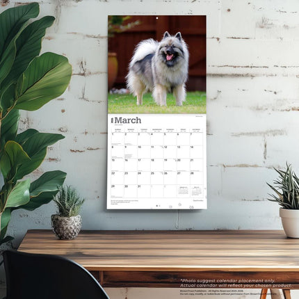 Browntrout Keeshond Kalender 2026