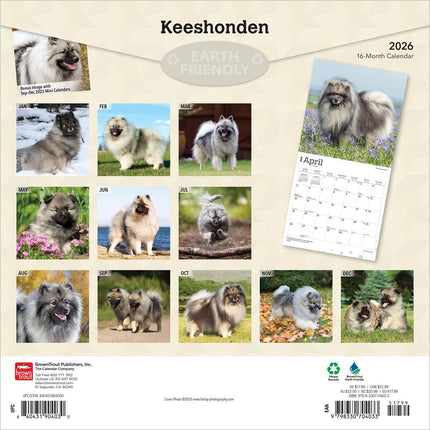 Browntrout Keeshond Kalender 2027