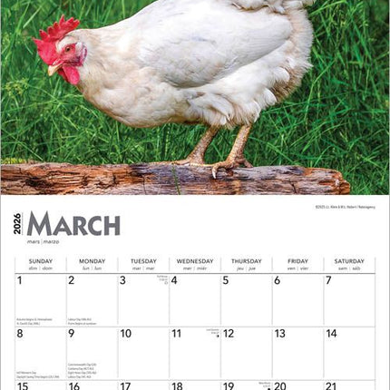 Browntrout Kippen Kalender 2026