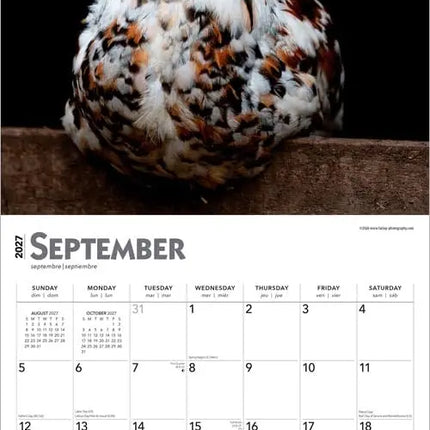 Browntrout Kippen Kalender 2027