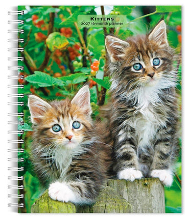 Browntrout Kittens Agenda 2027