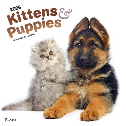 Browntrout Kittens and Puppies Kalender 2026