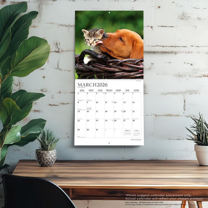 Browntrout Kittens and Puppies Kalender 2027