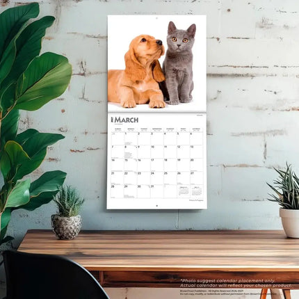 Browntrout Kittens and Puppies Kalender 2027