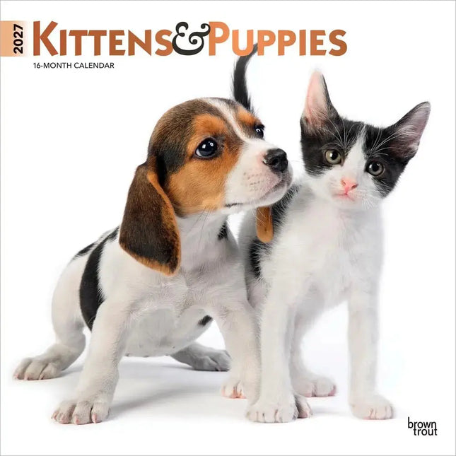 Browntrout Kittens and Puppies Kalender 2027