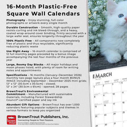 Browntrout Kittens Kalender 2026