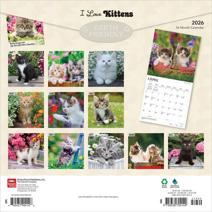 Browntrout Kittens Kalender 2027