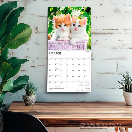 Browntrout Kittens Kalender 2027