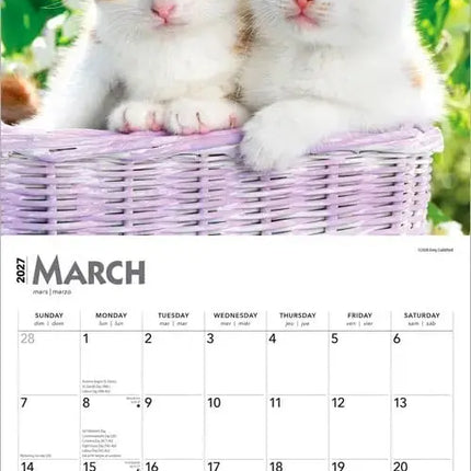 Browntrout Kittens Kalender 2027