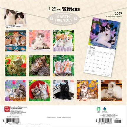 Browntrout Kittens Kalender 2027