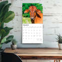 Calendrier Mural 2026 Format A4 - Thème Vache Design Moderne - Qualité Supérieure Papier 170g - Édition Seidel - 12