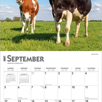 Browntrout Koeien Kalender 2027