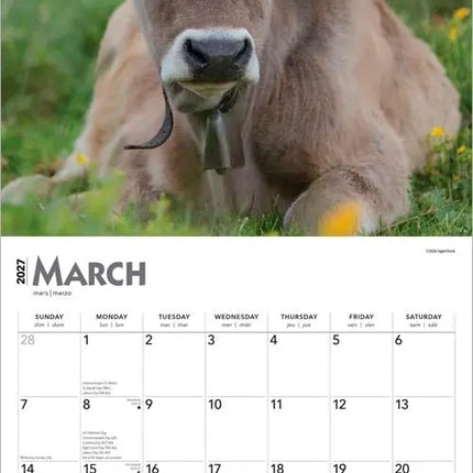Browntrout Koeien Kalender 2027