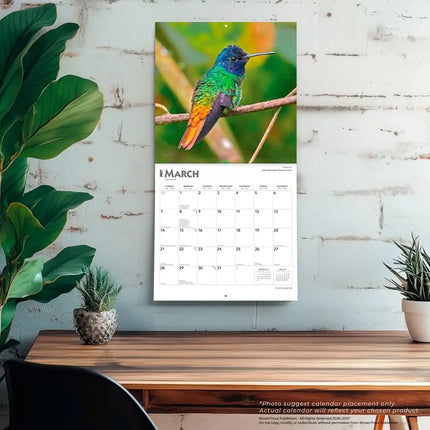Browntrout Kolibries Kalender 2027