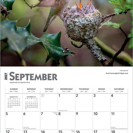 Browntrout Kolibries Kalender 2027