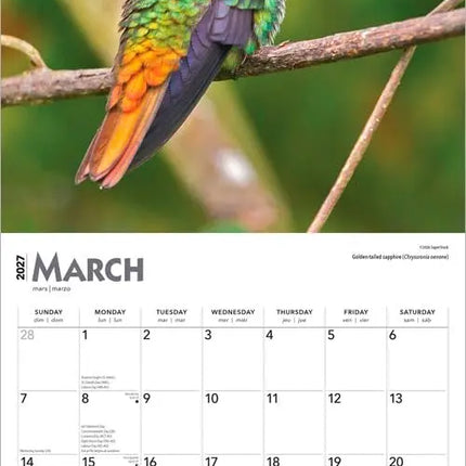 Browntrout Kolibries Kalender 2027