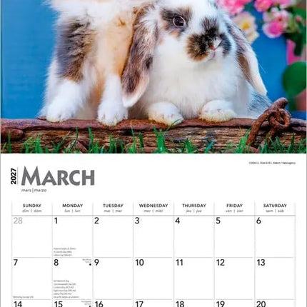Browntrout Konijnen Kalender 2027