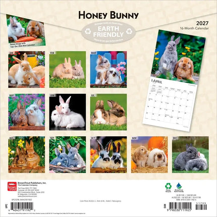Browntrout Konijnen Kalender 2027